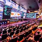 las vegas sports bet
